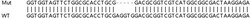 Abcam&nbsp;Human FTH1 knockout HEK-293T cell line
