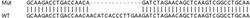 Abcam&nbsp;Human PEA15 knockout HEK-293T cell line