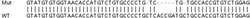 Abcam&nbsp;Human LYPLA2 (APT-2) knockout HEK-293T cell line
