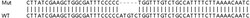 Abcam&nbsp;Human TMSB10 (Thymosin beta 10) knockout HEK-293T cell line