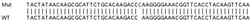 Abcam&nbsp;Human ERF knockout HEK-293T cell line