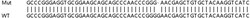 Abcam&nbsp;Human TTLL12 knockout HEK-293T cell line