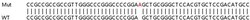 Abcam&nbsp;Human TMEM259 (Membralin) knockout HEK-293T cell line