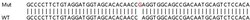 Abcam&nbsp;Human SOCS1 knockout A549 cell line