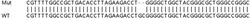 Abcam&nbsp;Human PLEKHA4 knockout A549 cell line