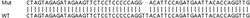 Abcam&nbsp;Human MAP3K2 (MEKK2) knockout A549 cell line