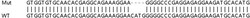 Abcam&nbsp;Human LGALS9C knockout A549 cell line