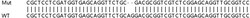 Abcam&nbsp;Human CCND2 (Cyclin D2) knockout HEK-293T cell line