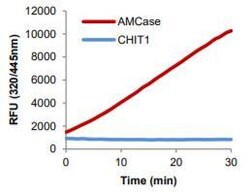 Abcam&nbsp;Acidic Mammalian Chitinase Activity Kit (Fluorometric)