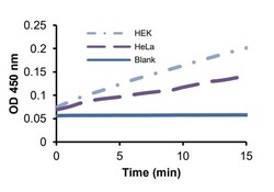 Abcam&nbsp;Phosphoglycerate Dehydrogenase (PHGDH) Activity Assay Kit (Colorimetric)