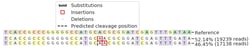 Abcam&nbsp;Human ITGA6 (Integrin alpha 6) knockout SW480 cell line