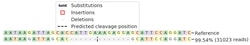 Abcam&nbsp;Human SLIT2 knockout HEK-293 cell line