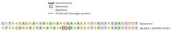 Abcam&nbsp;Human PCK2 knockout MCF7 cell line