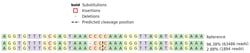 Abcam&nbsp;Human SPOP knockout HEK-293 cell line