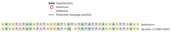 Abcam&nbsp;Human DIAPH1 knockout HEK-293 cell line