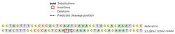 Abcam&nbsp;Human CD3G knockout Jurkat cell line