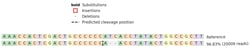 Abcam&nbsp;Human EGR1 knockout HeLa cell line