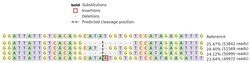Abcam&nbsp;Human PRKAA1 knockout HeLa cell line