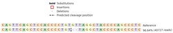 Abcam&nbsp;Human SREBF1 (SREBP1) knockout HeLa cell line