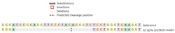 Abcam&nbsp;Human CD83 knockout Raji cell line