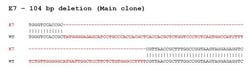Abcam&nbsp;Human SLC2A1 (Glucose Transporter GLUT1) knockout Hep G2 cell line