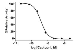 Abcam&nbsp;Angiotensin Converting Enzyme 1 (ACE1) Assay Kit (Inhibitor Screening, Fluorometric)