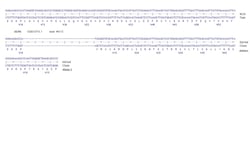 Abcam&nbsp;Human DGCR8 knockout HCT116 cell line