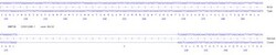 Abcam&nbsp;Human DNMT3B knockout HCT116 cell line