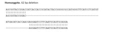 Abcam&nbsp;Human RAB3A knockout SK-N-FI cell line