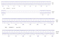 Abcam&nbsp;Human MICA knockout A549 cell line
