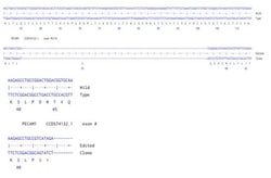 Abcam&nbsp;Human PECAM1 knockout A549 cell line