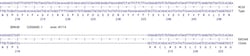 Abcam&nbsp;Human SEMA4D knockout HCT116 cell line