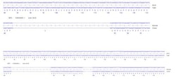 Abcam&nbsp;Human IRF5 knockout A549 cell line