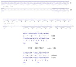 Abcam&nbsp;Human ITGA3 knockout A549 cell line