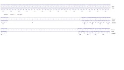 Abcam&nbsp;Human SERPINE1 knockout U-87 MG cell line