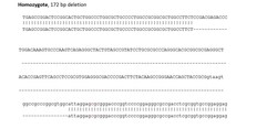 Abcam&nbsp;Human SPON1 knockout NIH:OVCAR-3 cell line