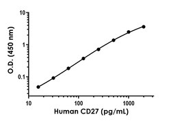 Abcam&nbsp;Recombinant Human CD27 Protein Standard (His tag)