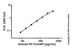 Abcam&nbsp;Recombinant Human NT-ProANP Protein Standard