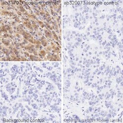 Abcam&nbsp;Biotin Isotype Control [EPR25A]