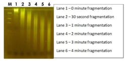 Abcam&nbsp;RNA Fragmentation Reagent Kit
