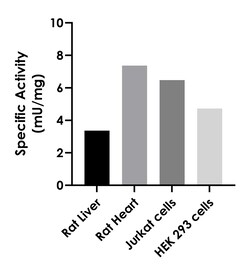Abcam&nbsp;Adenylate Cyclase Activity Assay