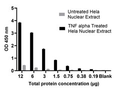 Abcam&nbsp;NFkB p50 Transcription Factor Activity Assay Kit
