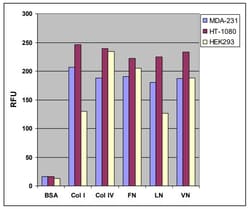 Abcam&nbsp;Fibronectin Cell Adhesion Assay (Fluorometric)