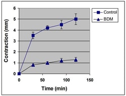 Abcam&nbsp;Collagen-based Cell Contraction Assay