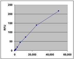 Abcam&nbsp;Tumor Transendothelial Migration Assay
