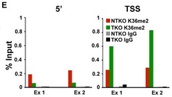 Abcam&nbsp;Rabbit IgG, polyclonal - Isotype Control