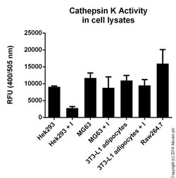 Abcam&nbsp;Cathepsin K Activity Assay Kit (Fluorometric)