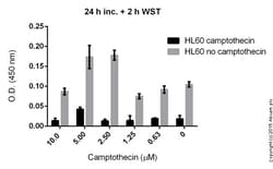 Abcam&nbsp;WST-8 Assay Kit (Cell Proliferation)