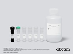 Abcam&nbsp;Caspase 9 Assay Kit (Fluorometric)