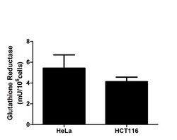 Abcam&nbsp;Glutathione Reductase (GR) Assay Kit